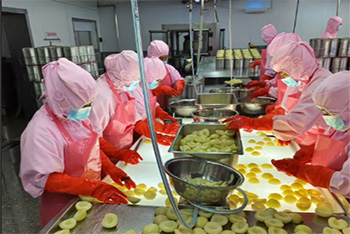 微信圖片_20240926094740 副本.JPG